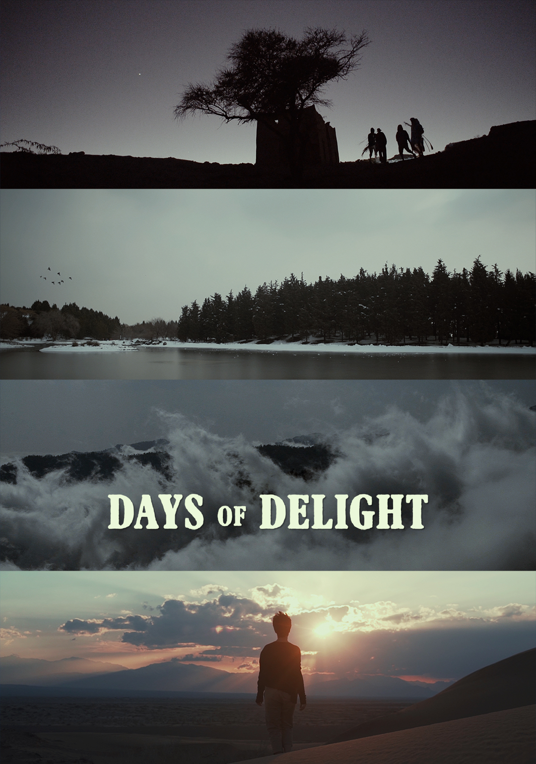 Poster Art for "Days of Delight" Experimental Dance Film , RR , Rita Rahimi , rrfana , Ramin Rahimi , ریتا رحیمی ، رامین رحیمی